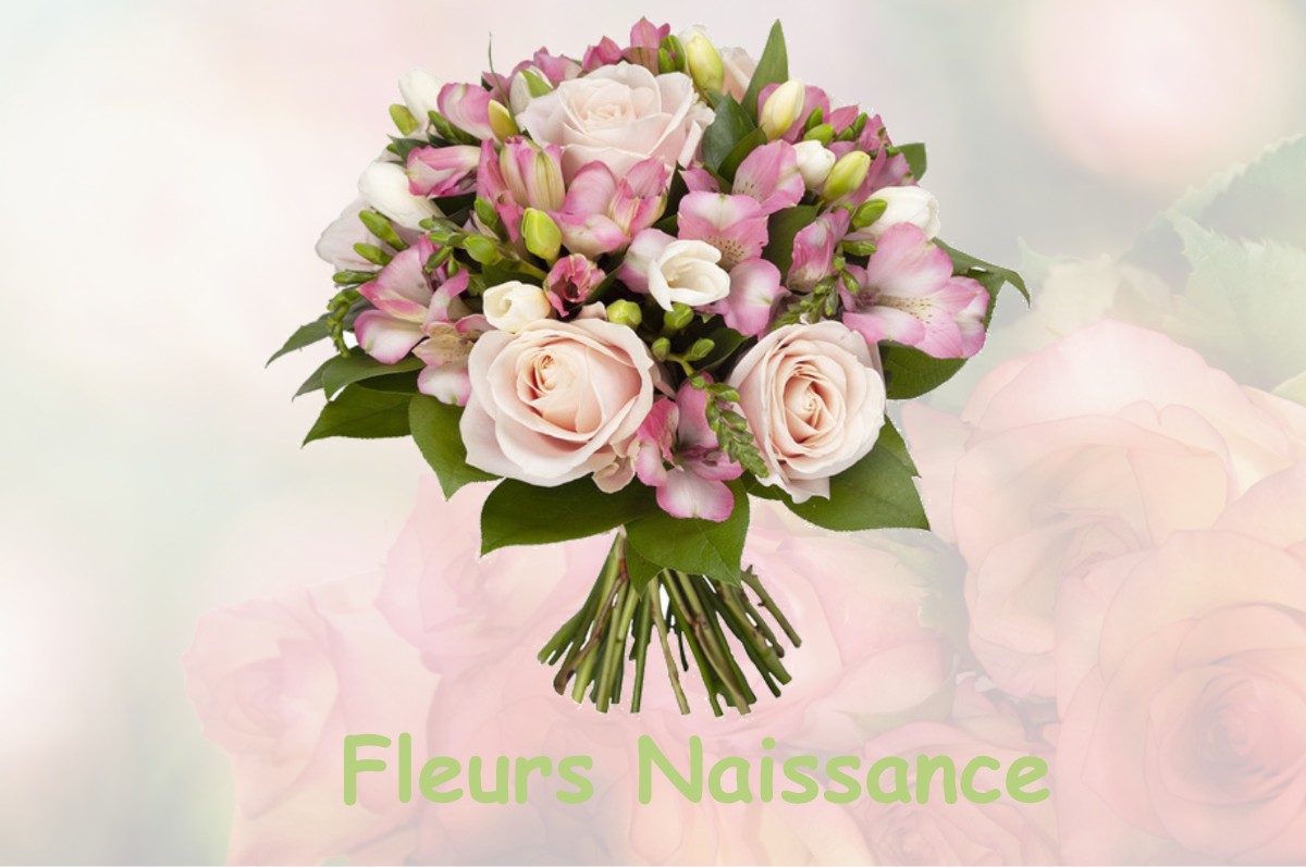 fleurs naissance BRUGUIERES