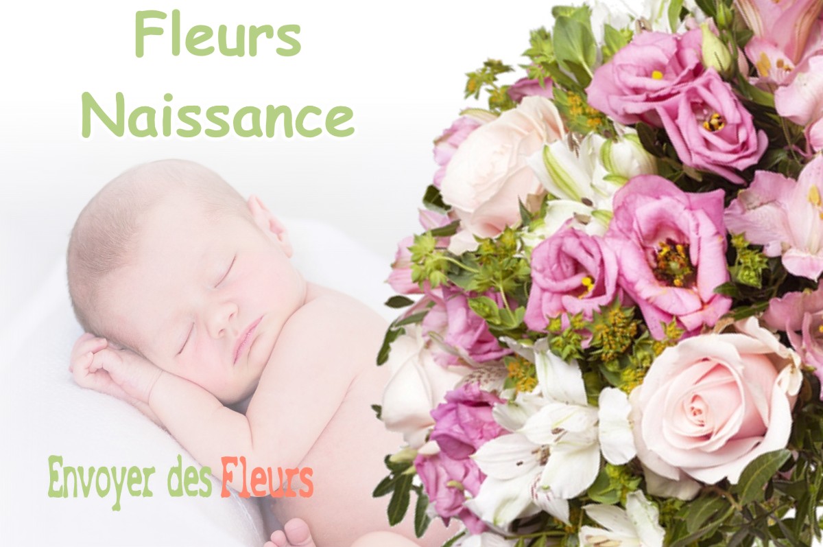 lIVRAISON FLEURS NAISSANCE à BRUGUIERES