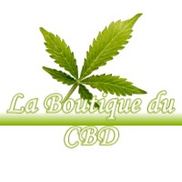 LA BOUTIQUE DU CBD BRUGUIERES 